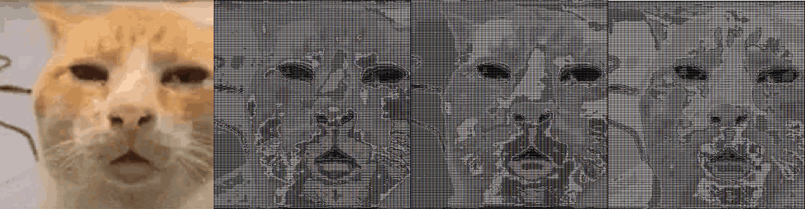 ASCII art the meme "wutcat": the original, and ASCII art from the 3 calculation methods